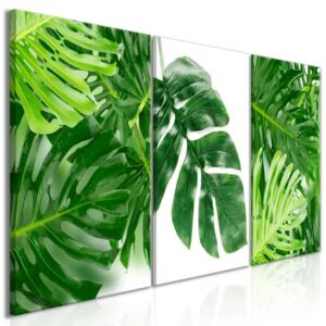 DecorDecor Tavla - Palm Leaves (3 Parts)