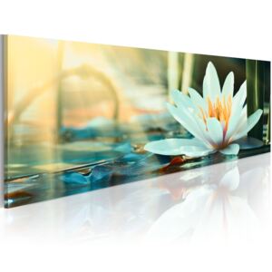 Canvas Tavla - The Lake of Lotus - 150x50