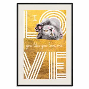 Posters: I Love You like You Love Me [Poster]