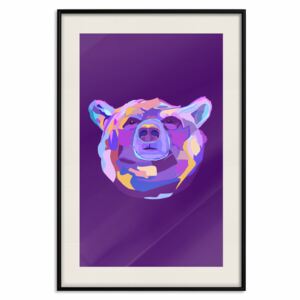 Posters: Colourful Bear [Poster]