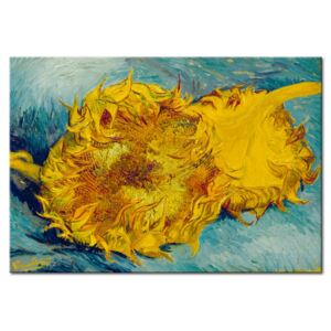 Tavla Sunflowers