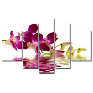 Canvastavla Violet Orchid