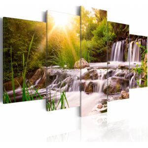 Konst Forest Waterfall