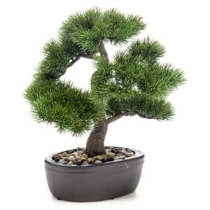 Emerald Konstväxt bonsai tall med brun kruka 32 cm